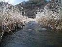 2007-04-22 048.JPG